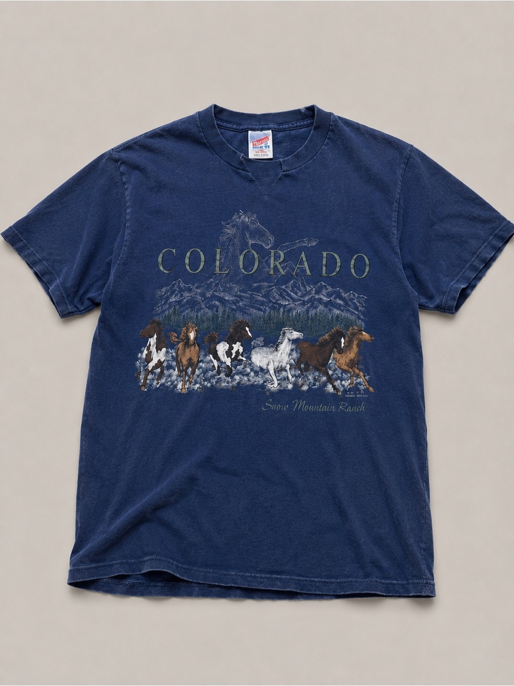 Jerzees teal Colorado Horse Graphic Short Sleeve Tee